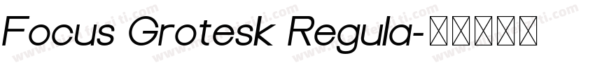 Focus Grotesk Regula字体转换